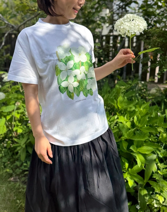2026　Tシャツコレクション　リリース