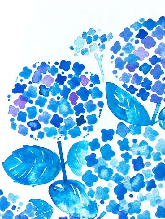 水彩畫海報 (A4) 「繡球花」