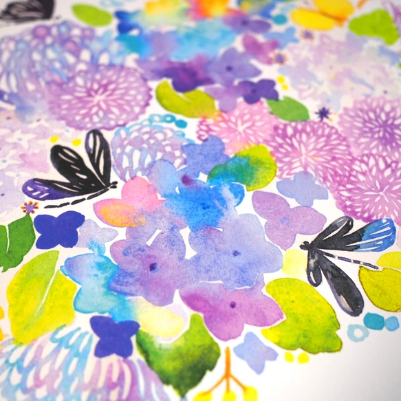 水彩畫海報 (30cm×30cm) 「黑麗翅蜻與繡球花」