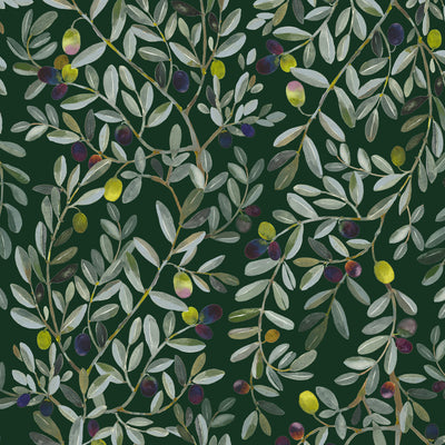 OLIVE